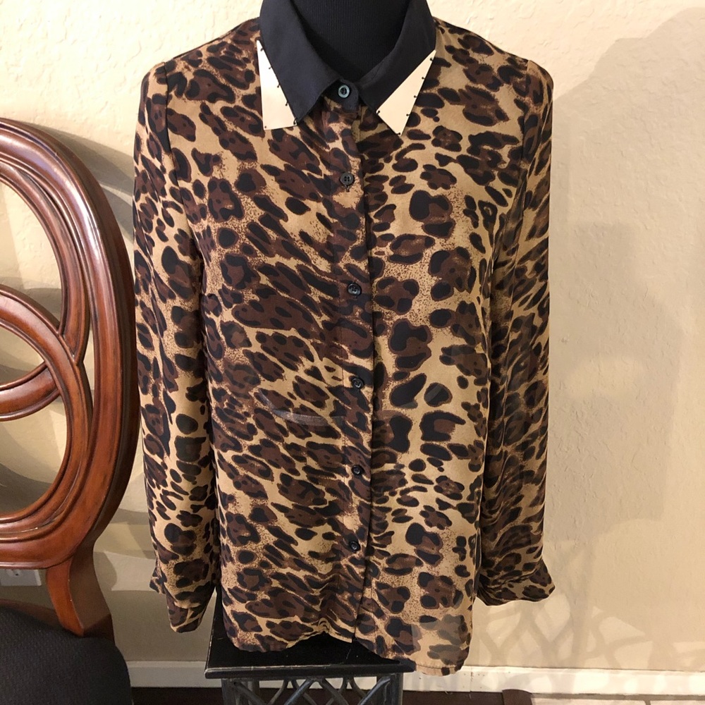 Live on the wild side with this sheer leopard top
